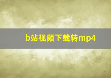 b站视频下载转mp4