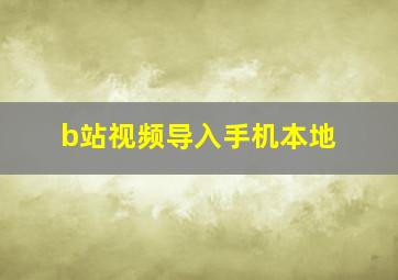 b站视频导入手机本地