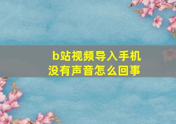 b站视频导入手机没有声音怎么回事