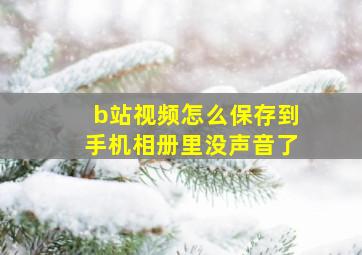 b站视频怎么保存到手机相册里没声音了