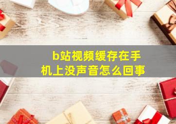 b站视频缓存在手机上没声音怎么回事