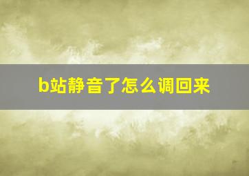 b站静音了怎么调回来