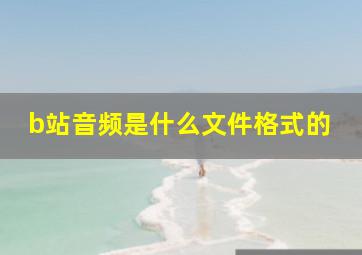 b站音频是什么文件格式的