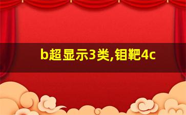 b超显示3类,钼靶4c