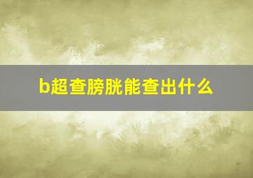 b超查膀胱能查出什么