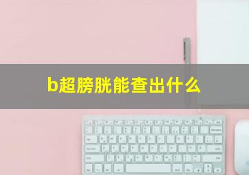 b超膀胱能查出什么