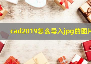 cad2019怎么导入jpg的图片