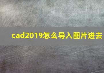 cad2019怎么导入图片进去