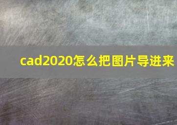 cad2020怎么把图片导进来