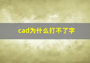 cad为什么打不了字