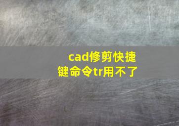 cad修剪快捷键命令tr用不了