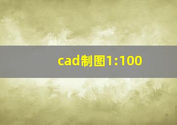 cad制图1:100