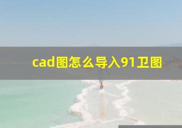 cad图怎么导入91卫图