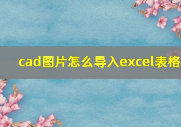 cad图片怎么导入excel表格