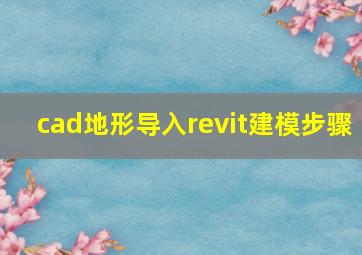 cad地形导入revit建模步骤