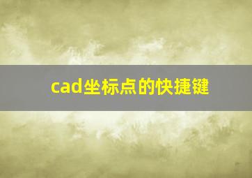 cad坐标点的快捷键