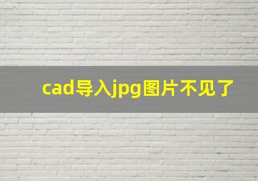 cad导入jpg图片不见了