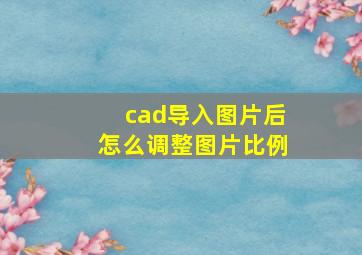 cad导入图片后怎么调整图片比例