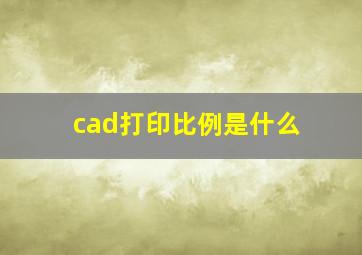 cad打印比例是什么