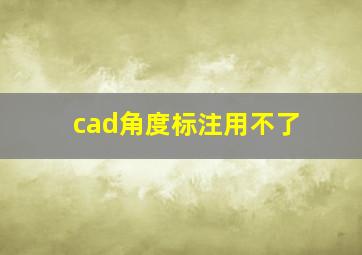 cad角度标注用不了