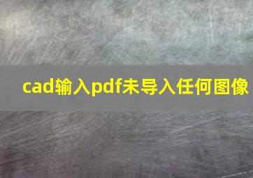 cad输入pdf未导入任何图像