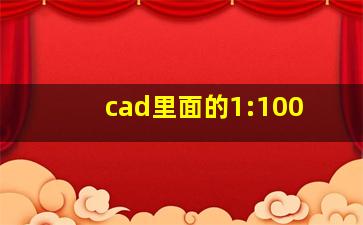 cad里面的1:100