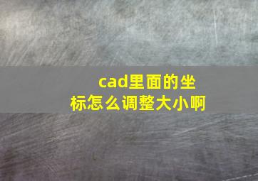 cad里面的坐标怎么调整大小啊