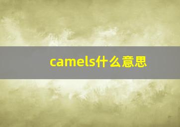 camels什么意思