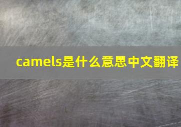 camels是什么意思中文翻译