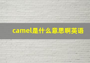 camel是什么意思啊英语