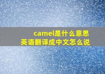 camel是什么意思英语翻译成中文怎么说