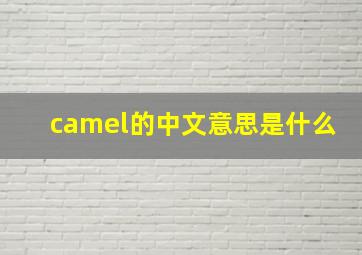 camel的中文意思是什么