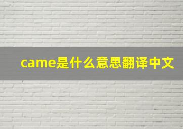 came是什么意思翻译中文