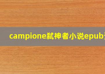 campione弑神者小说epub资源