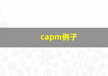 capm例子