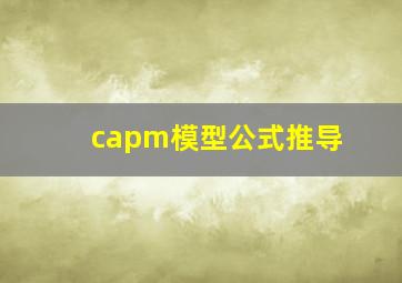 capm模型公式推导