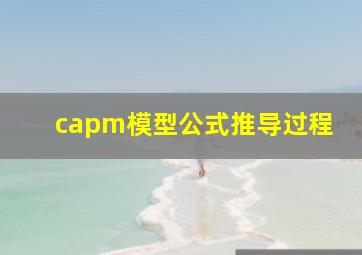 capm模型公式推导过程