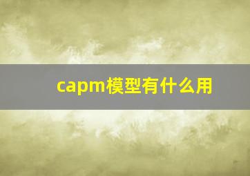 capm模型有什么用