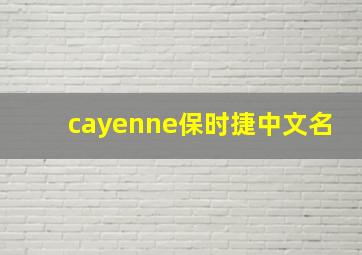 cayenne保时捷中文名