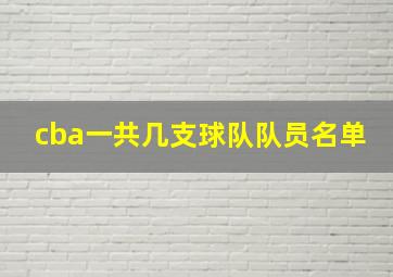 cba一共几支球队队员名单