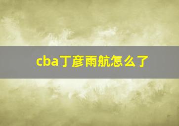 cba丁彦雨航怎么了