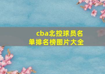 cba北控球员名单排名榜图片大全