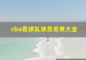 cba各球队球员名单大全