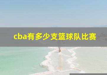 cba有多少支篮球队比赛