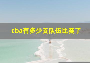 cba有多少支队伍比赛了