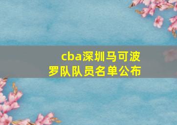 cba深圳马可波罗队队员名单公布