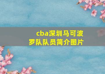 cba深圳马可波罗队队员简介图片