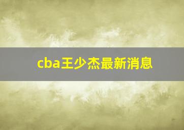 cba王少杰最新消息