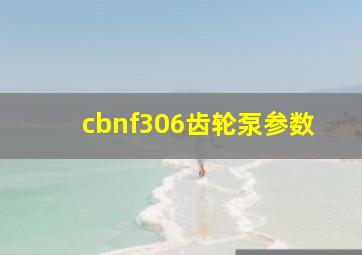 cbnf306齿轮泵参数