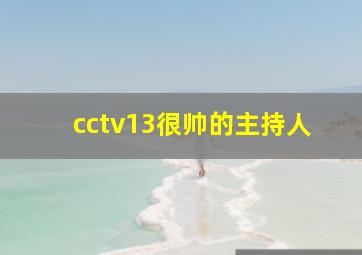 cctv13很帅的主持人